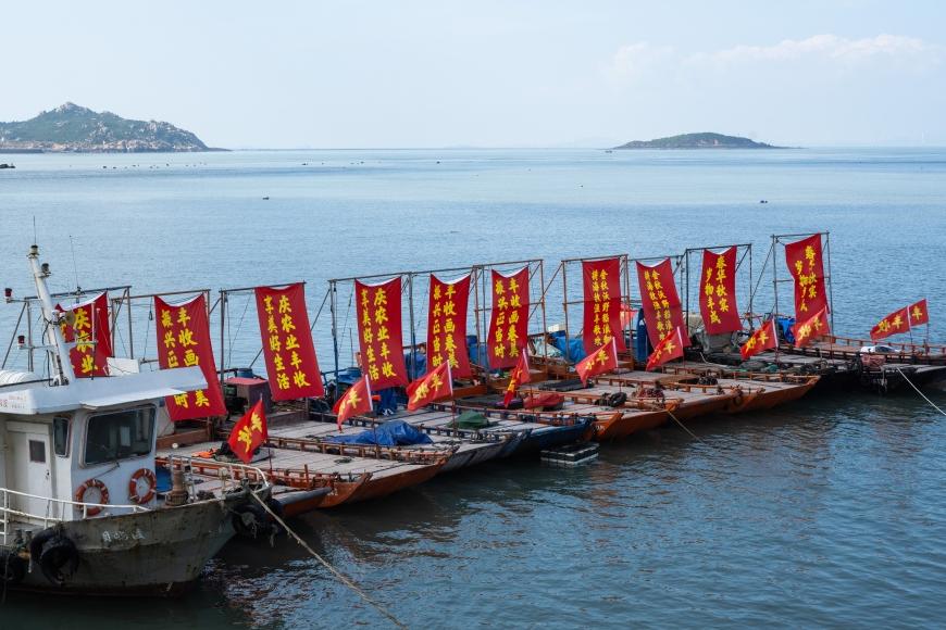 2025年福清農(nóng)民豐收節(jié)啟幕 山海歡歌共繪振興圖景